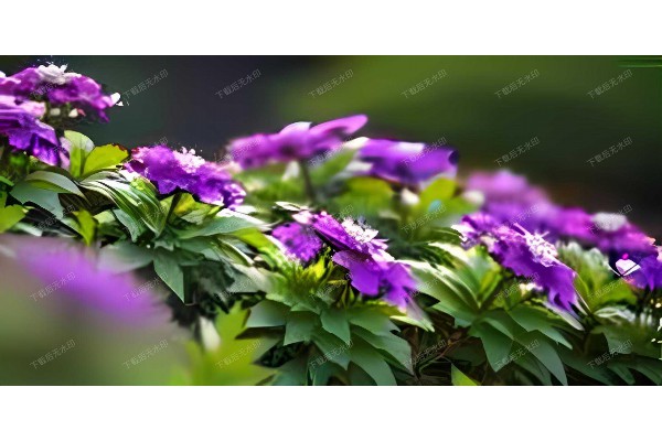 想要彻底放松?武汉御龙酒店桑拿,地址揭晓! 想要彻底放松?武汉御龙酒店桑拿,地址揭晓!